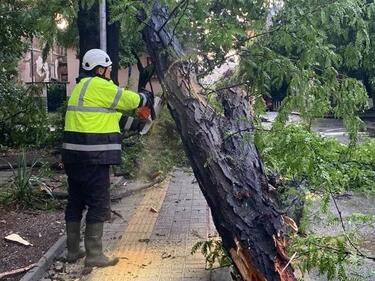 В София разчистват последиците от бурята