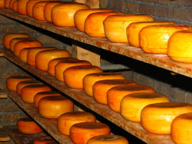 Млечните продукти предпазват от диабет