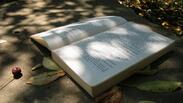 С хепънинг на открито популяризират академичната книга