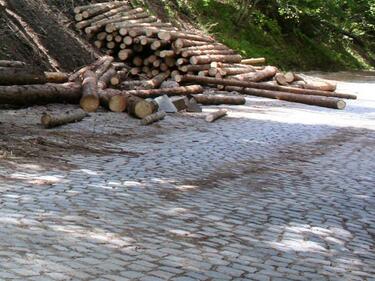 200 куб. метра незаконна дървесина е конфискувана от септември насам