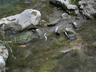 България и Гърция засилват сътрудничеството в управлението на водите