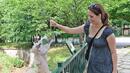 18 млн. лв. са нужни за подобряването на зоопарковете в България