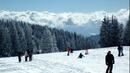 10 см сняг очаква туристите в Пампорово и в Чепеларе 