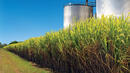 Куба строи електроцентрала на захарна тръстика