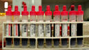 Кръвен тест открива Даун при неродени деца