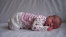 153 бебета, заченати ин витро, са родени в Плевен