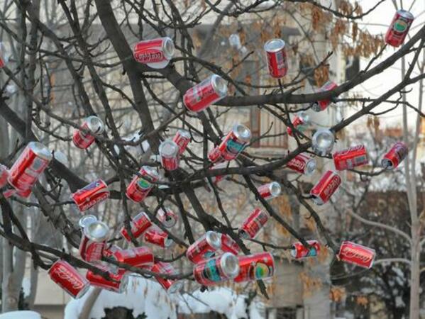 Софийско дърво „върза“ Кока-Кола

