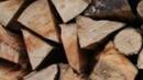 Кражбата на дърва за огрев - най-честото нарушение на Закона за горите