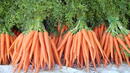 Мания по морковите обсебва живота на жена