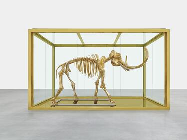 Един скелет, 350 хиляди евро, Париж...