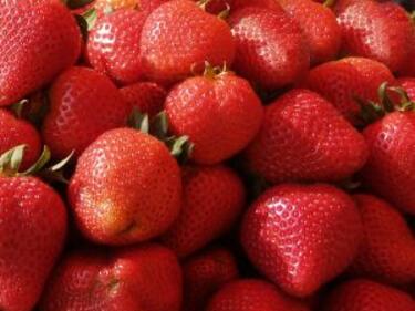 Започва подпомагането на производители на ягоди и малини