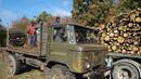 Отрязан бор уби дървосекач в Кърджалийско