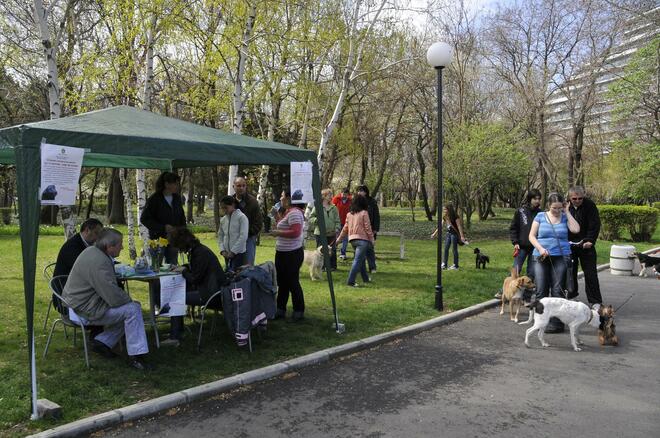 Осиновяват бездомни кучета в Бургас