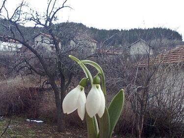 Ниски температури в Западна България