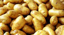 Повече засети площи с картофи през 2011 година, но по-малко картофи