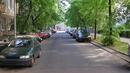 Обновяват растителността по софийските улици