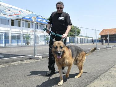 Обучават кучета за спасители в Пирин