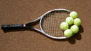 Елена Дементиева изненадващо обяви, че се оттегля от тениса 