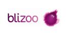 Blizoo с нов директор