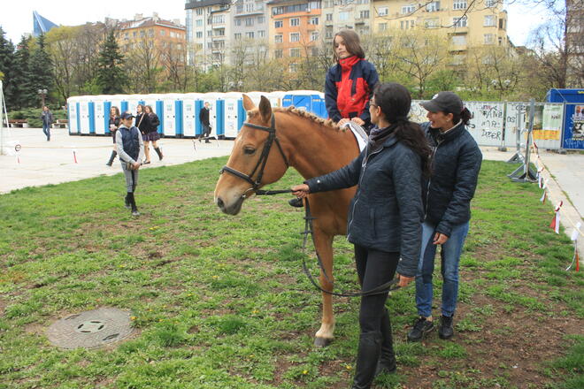 Стартира националната спортна панорама 