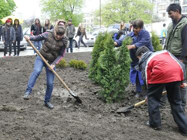 Раздават 3000 дръвчета в Южния парк в София