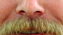 Съвети за отглеждане на най-дългите мустаци в света