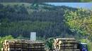 Фирмите за дървесина блокират утре границите с Турция и Гърция при Свиленград