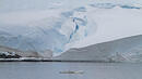 Британски учени откриха "странни създания" под антарктическия лед
