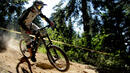 Англичани отново грабнаха наградите на Borovets Bike Park Open Cup