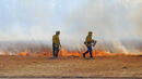 800 декара гора изгоря на българо-турската граница