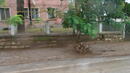 Порой потопи центъра на Велико Търново (ВИДЕО)
