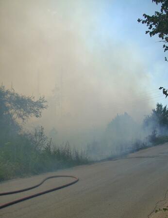Лумна пожар в борова гора на Арбанаси