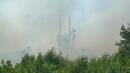 Лумна пожар в борова гора на Арбанаси