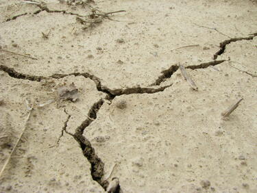 Проф. Милошев: Днешният трус е последващ от земетресението през май