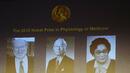 Нобеловата седмица стартира с трима лауреати на наградата за медицина