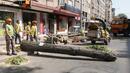 Ограничено е движението по бул. "В. Левски" заради премахване на тополи