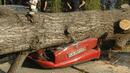 Паднала топола уби на място жена в новозагорско село