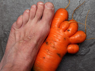 Англичанин извади морков с формата на крак