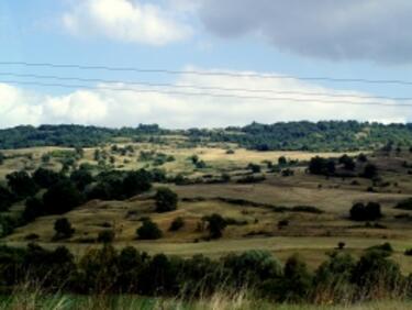 Засилват охраната на горите край Силистра 