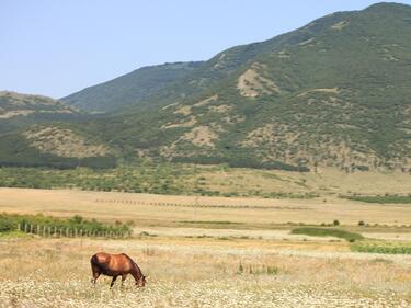 На разходка в планината - на прохлада и сянка