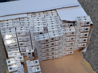 Русенски митничари хванаха 1000 кутиции цигари без бандерол 