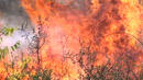 Продължава гасенето на пожарите в областите София, Кюстендил и Бургас