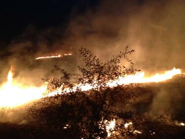 Огнеборци от Пазарджик, Батак и Пещера гасиха пожара в резерват "Дупката"