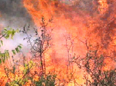 85 души гасят на ръка пожара в местността "Бели бор" в Рила