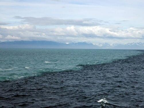 Два товарни кораба се сблъскаха в Северно море, край бреговете