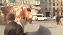 Политик протестира с три крави пред украинското правителство