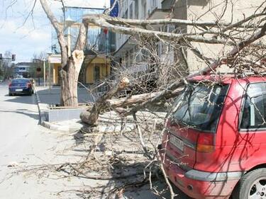 Буря вилня в страната - изкорени дървета, потроши прозорци и покриви