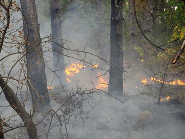 Локализиран е пожарът между Николаево и Гурково