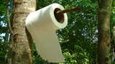 Полицаи не могат да хванат крадец на тоалетна хартия
