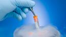 Ембриони ще се отглеждат в лаборатории в Холандия
